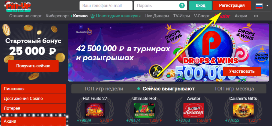 Pin up көзгерме: платформаның жеке кабинетіне сәтті кіру!