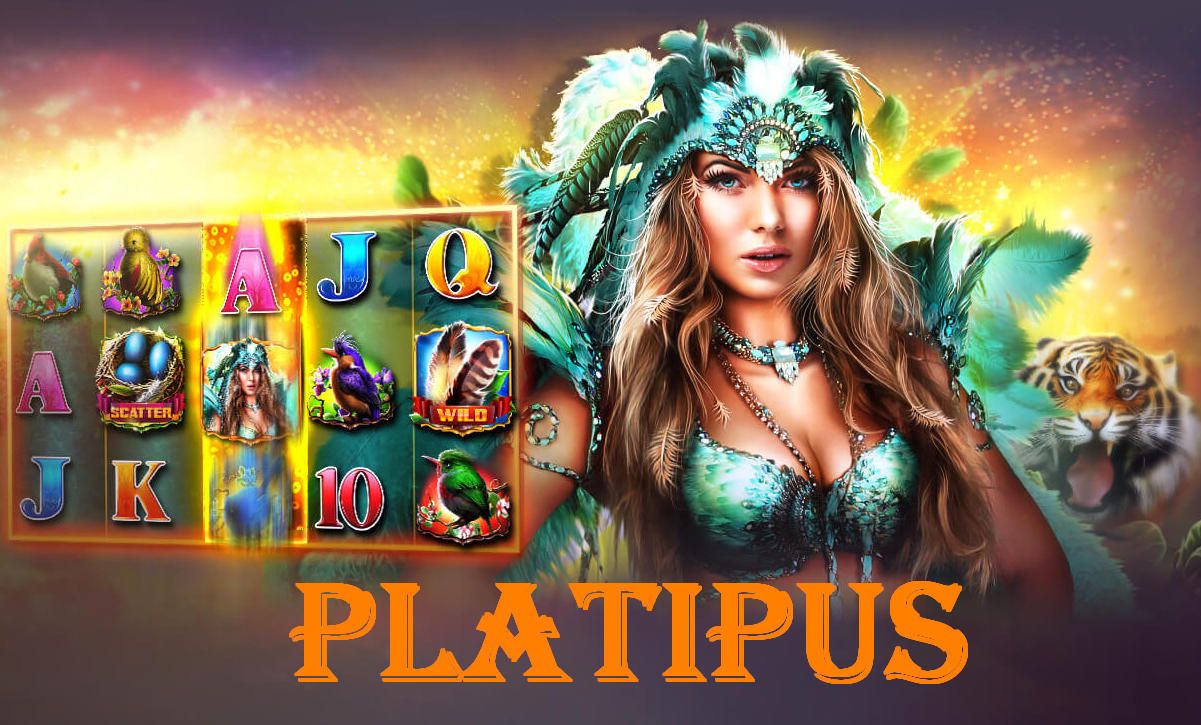 Провайдер Platipus